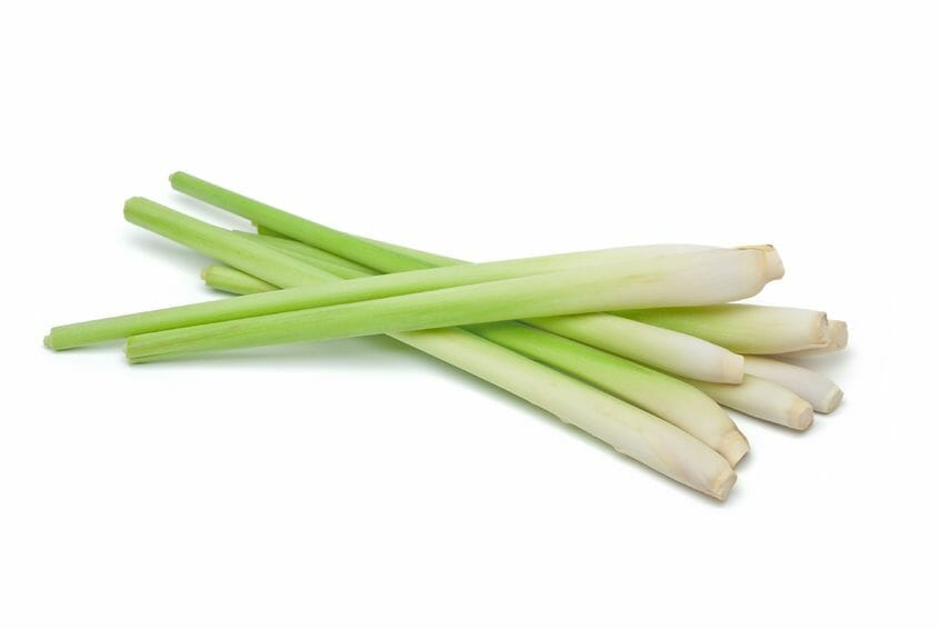 Lemongrass Essential Oil